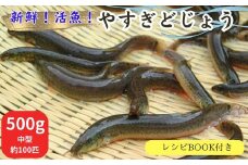 やすぎどじょう500g（女子高生制作どじょう料理レシピBOOK付き）【どじょう 活魚 生きたまま 食用 養殖 やわらかい 弾力 クセがない レシピ付き 魚 美味しい 栄養 食べやすい 新鮮 島根県 安来市】【価格変更】