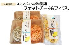 まるでパスタな米粉麺　フェットチーネ＆フィジリセット【米粉100% アレルギー ショートパスタ  カラフル マカロニ きぬむすめ 料理 パスタ お弁当 惣菜 麺類 島根県 安来市】