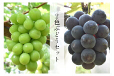 【先行受付】 2色詰め安来ぶどう詰合せ 約1.4kg【2～3房 ピオーネ 巨峰 クインニーナ 安芸クイーン シャインマスカット 瀬戸ジャイアンツ 2種 お任せ 旬 詰め合わせ 先行 予約 冷蔵配送 フルーツ 島根県 安来市】