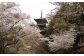 安来清水寺
