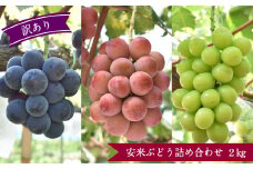 【先行受付・訳あり】 安来ぶどう詰め合わせ 2kg 【3～4房 数量限定 期間限定 おまかせ 家庭用 先行 予約 ピオーネ 巨峰 クインニーナ 安芸クイーン シャインマスカット 瀬戸ジャイアンツ いずれかの種類 ランダム 島根県 安来市】