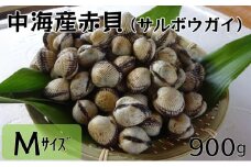中海産赤貝（サルボウガイ）Ｍサイズ 900g【赤貝 中海産】