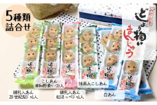 どじょう掬いまんじゅう ５種類セット【饅頭 ひょっとこ おやつ 和菓子 餡子 白餡 こしあん 抹茶あん 梨あん 苺あん セット 食べ比べ 上品 昔ながら 島根県 安来市】