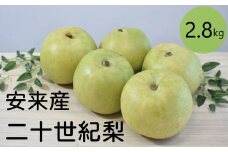 二十世紀梨　2.8kg【先行受付 2025年発送 梨 なし ナシ 20世紀 美味しい みずみずしい 期間限定 先行予約】