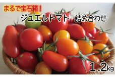 【先行予約】ジュエルトマト詰め合わせ【高糖度 フルーツトマト トマト 甘い 完熟 栄養 セット 詰め合わせ 樹上完熟 完熟 野菜 ベジタブル 島根県 安来市】