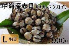中海産赤貝（サルボウガイ）Ｌサイズ 900g【赤貝 中海産】
