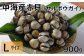 中海産赤貝
