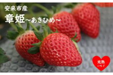 いちご 章姫 2パックセット［島根県安来産　完熟いちご］【予約 完熟 苺 イチゴ 島根県産 甘い 人気 特産品 高級 フルーツ デザート 】