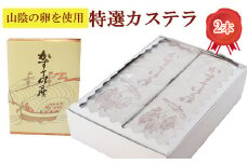 カステラ2本【カステラ 甜菜糖使用 おやつ デザート お菓子 スイーツ 繊細 まろやか からだに優しい 人気 おもてなし 贈り物 ギフト 島根県 安来市】