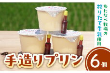 手造りプリン6個セット【冷蔵 ネッカ牛乳 ネッカ卵 蒸しプリン ソース別 牧場 スイーツ おいしい ご褒美 おやつ 牧場 搾りたて グルメ お土産 自宅用 ギフト 贈り物 島根県 安来市】