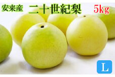 安来産　二十世紀梨 L 5kg【約18玉 先行予約　令和5年　期間限定　島根県　】