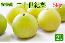 安来産　二十世紀梨 2L 5kg【約16玉 先行予約　令和5年　期間限定　島根県　】