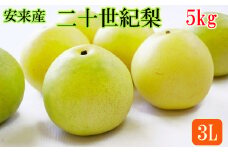 安来産　二十世紀梨 3L 5kg【約14玉 先行予約　令和5年　期間限定　島根県　】
