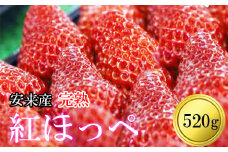 安来産 いちご 紅ほっぺ 2パック【 520ｇ 先行予約 完熟 期間限定　島根県　】