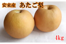 安来産　あたご梨　4ｋg【大玉 3玉～6玉 先行予約　令和5年　期間限定　島根県　】