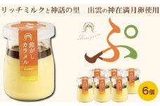 ハレぷりん（焦がしカラメル6個）【ギフト 焦しカラメル カラメル 濃厚 プリン 生乳 リッチミルクスイーツ お取り寄せ スイーツ おやつ デザート リッチ 贅沢 ご褒美 とろとろ 手作り 出雲神在満月卵 島根県 安来市】