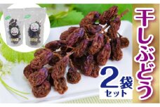 モーツァルトに恋をして 干しぶどう シャインマスカット（100g×2個）【国産 ドライフルーツ レーズン 葡萄 ぶどう 房 お取り寄せ 小分け おやつ おつまみ フルーツ 甘い 熟成 完熟 おやつ 島根県 安来市】