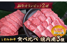 しまね和牛 焼肉用3種セット （肩ロース、カルビ、モモ）セット 600g 【黒毛和牛 おすすめ 冷凍 和牛オリンピック 肉質NO.1 焼肉 セット 食べ比べ 牛肉 ロース モモ肉 国産 和牛 霜降り 赤身 ジューシー ギフト 贈り物 島根県 安来市】