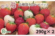 「色々苺」品種盛り合わせパック 品種かわかるメモ付【食べ比べ いちご 約290g×2パック 苺 冷蔵 安来】