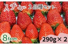 イチゴ2品種セット【食べ比べ いちご 約290g×2パック 苺 冷蔵 安来】