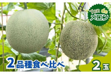 Ton de メロン 2品種食べ比べ♪【ペルルグリーンメロン アールスヴェルダメロン フルーツ 果物 食べ比べ 美味しい 甘い 芳醇 しっとり 上品 旬 ご褒美 ギフト 贈り物 ご自宅用 安来 島根県 安来市】