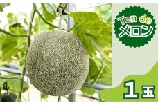 Ton de メロン 1玉【ペルルグリーンメロン アールスヴェルダメロン フルーツ 果物 美味しい 甘い 芳醇 しっとり 上品 旬 ご褒美 ギフト 贈り物 ご自宅用 安来 島根県 安来市】