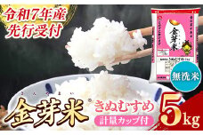 【先行受付】新米 令和7年産 BG無洗米・金芽米きぬむすめ 5kg 計量カップ付き【先行予約 新米予約 予約 節水 健康 ビタミン ミネラル つや お弁当 おいしい うまみ 甘み ふっくら 時短 簡単  島根県 安来市】【価格変更】