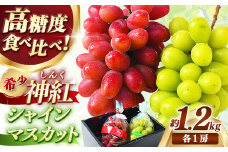 ＜足立ぶどう園＞島根県オリジナルぶどう「神紅」・シャインマスカット詰合せ（約1.2㎏）［JU米子髙島屋選定品］【ブドウ マスカット フルーツ 果物 オリジナル 品種 甘い 皮ごと 種なし 大粒 果汁 美味しい セット 詰め合わせ ギフト 贈り物 贅沢 島根県 安来市】