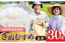 【先行受付】島根県安来市産 きぬむすめ 玄米 30kg 【令和7年産 新米 先行 予約 お米 こめ コメ 米 ごはん ご飯 国産 お弁当 美味しい 人気 おすすめ 島根県 安来市】
