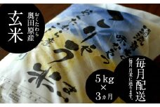 安来のお米【定期便】こりゃう米（まい）玄米　5kg×3回（毎月）令和7年産 【定期便 5㎏×3回 毎月 コシヒカリ 玄米 お米 安来市産 島根県 安来市】
