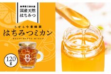 はちみつミカン120g(1本)【RY-1】｜送料無料 国産 はちみつミカン はちみつ ハチミツ 蜂蜜 みかん ミカン 蜜柑 温州みかん  温州ミカン 果物類 柑橘類 フルーツ 加工食品 無添加 ドライフルーツ漬け ドライフルーツ パン ぱん ヨーグルト ほっとはちみつ｜