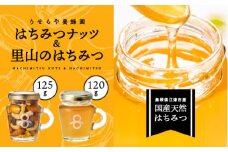 はちみつナッツ1本(125g)と里山のはちみつ1本(120g)セット【RY-3】｜送料無料 国産 はちみつナッツ ナッツ 豆 カシューナッツ アーモンド マカダミアナッツ くるみ パンプキンシード はちみつ ハチミツ 蜂蜜 加工食品 ヨーグルト パン ほっとはちみつ 逸品｜