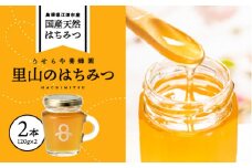 里山のはちみつ(120g×2本)セット 計240g【RY-4】｜送料無料 国産 国産はちみつ 天然 はちみつ ハチミツ 蜂蜜 HONEY Honey ハニー 瓶 パン ハニートースト ホットケーキ ヨーグルト 料理 フルーティー プレゼント 贈答 贈り物 ギフト セット｜