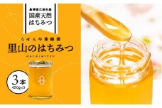 里山のはちみつ3本(450g×3本)セット【RY-10】｜送料無料 国産 国産はちみつ 天然 はちみつ ハチミツ 蜂蜜 HONEY Honey ハニー 瓶 パン ハニートースト ホットケーキ ヨーグルト 料理 フルーティー プレゼント 贈答 贈り物 セット ギフト｜