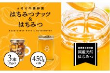 はちみつナッツ3本(125g×3本)とはちみつ1本(450g)セット【RY-9】｜送料無料 国産 はちみつ ハチミツ 蜂蜜 ナッツ 豆 カシューナッツ アーモンド マカダミアナッツ くるみ パンプキンシード 加工食品 ヨーグルト パン ほっとはちみつ ビン 瓶 フルーティー｜