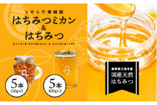 はちみつミカン5本(120g×5本)とはちみつ5本(450g×5本)セット【RY-12】｜送料無料 国産 はちみつミカン はちみつ ハチミツ 蜂蜜 みかん ミカン 蜜柑 温州みかん 温州ミカン 果物類 柑橘類 フルーツ 加工食品 無添加 ドライフルーツ パン ぱん ヨーグルト｜