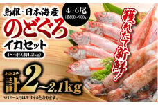 鮮魚セットB【のどぐろ4～6尾(約800g～900g)・イカ4～6杯(約1.2kg)】｜漁解禁 受付再開 送料無料 のどぐろ イカ 島根 山陰 日本海産 魚介類 魚貝類 海産 海産物 魚 さかな いか ノドグロ 鮮魚 剣先イカ ヤリイカ 下処理済 煮付け 焼き魚 刺身 さしみ 厳選｜【YM-2】