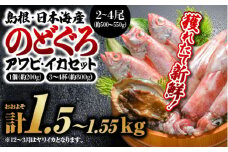 鮮魚セットA【のどぐろ2～4尾(約500g～550g)・イカ3～4杯(約800g)・アワビ(約200g×1)】｜送料無料 のどぐろ アワビ イカ 島根 山陰 日本海産 魚介類 魚貝類 貝 海産物 魚 さかな あわび ノドグロ 鮮魚 剣先イカ ヤリイカ 煮付け 焼き魚 刺身｜【YM-1】