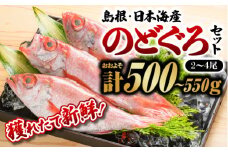鮮魚セットD【のどぐろ2～4尾(約500g～550g)】｜漁解禁 受付再開 送料無料 のどぐろ ノドグロ 島根 山陰 日本海産 魚介類 魚貝類 海産 海産物 おかず 下処理済 煮付け 刺身 さしみ 焼き魚 焼魚 魚 さかな 鮮魚 新鮮 せんぎょ 厳選 生｜【YM-4】