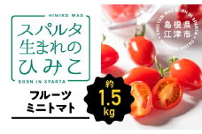 スパルタ生まれのひみこ ミニトマト 約1.5kg入り【GC-10】｜送料無料 スパルタ生まれのひみこ ひみこ ミニトマト フルーツトマト やさい 野菜 サラダ とまと トマト 楕円形 完熟 新鮮 お弁当 贈物 ギフト プレゼント サラダ 産地直送 産地厳選 江津市｜