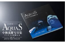 AQUAS アクアスの仲間たち 小林茂雄写真集【KS-1】｜送料無料 本 写真集 1冊 雑貨 日用品 しまね海洋館アクアス 海洋館 水族館 海の動物 動物 海の生き物 生き物 イルカ ペンギン サメ エイ 魚 魚介類 インテリア お絵描き素材 素材 お子様 子供 孫 ギフト｜