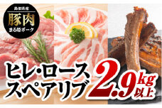 まる姫ポーク　ヒレブロック（約550g×3）・ローススライス（300g×2）・スペアリブブロック （約700g×1）約2.9kg以上【AK-39】｜送料無料 国産 まる姫ポーク 豚肉 ぶた肉 ぶたにく 肉 ヒレブロック ローススライス スペアリブブロック BBQ 江津市｜