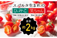スパルタ生まれの笑ちゃん フルーツトマト 約1kg＆スパルタ生まれのひみこ フルーツミニトマト 約1kgセット【配送不可：離島】【GC-24】｜送料無料 笑ちゃん フルティカ ひみこ ミニトマト フルーツトマト 野菜 トマト サラダ 完熟 果皮 ぷりぷり 甘味 旨味 濃厚 絶品 贈物 ギフト プレゼント 産地直送 江津市｜