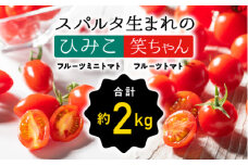 【先行予約】 スパルタ生まれの笑ちゃん フルーツトマト 約1kg＆スパルタ生まれのひみこ フルーツミニトマト 約1kgセット【配送不可：離島】【GC-24】 お届け：11月中旬以降順次発送 ｜送料無料 笑ちゃん フルティカ ひみこ ミニトマト フルーツトマト 野菜 トマト サラダ 完熟 果皮 ぷりぷり 甘味 旨味 濃厚 絶品 贈物 ギフト プレゼント 産地直送 江津市｜