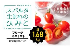 スパルタ生まれのひみこ ミニトマト 約120g×14パック（約1.68kg）【配送不可：離島】【GC-20】｜送料無料 ひみこ ミニトマト フルーツトマト やさい 野菜 とまと トマト サラダ 甘味 新鮮 お弁当 贈物 ギフト プレゼント 産地直送 産地厳選 江津市｜