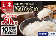 【定期便6か月】 島根県 江津市産 邑智郡産  きぬむすめ 10㎏×6回【合計60kg】令和5年産 新米 白米【10営業日以内配送】FY-2