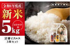 【令和6年度産新米5kg(天日乾燥)】と、やまあいピクルス【定番ピクルス３本セット】【YP-6】｜送料無料 ピクルス ぴくるす 米 新米 お米 野菜 やさい ごぼう きゅうり 生姜 ミニトマト うずら卵 カレー味 常温保存 詰め合わせ セット 贈物 プレゼント｜