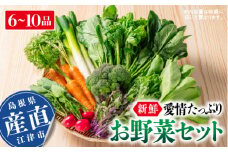 新鮮愛情たっぷりお野菜セット｜野菜 旬 新鮮 産地直送 リピ確定 美味しい 大好評  詰め合わせ セット SP-2