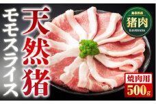 天然猪 江の川shishi 猪モモスライス 焼肉用 500g （ 2～3人前 ） AI-6 いのしし肉 イノシシ肉 猪肉 猪 モモ肉 スライス ジビエ