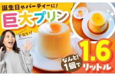 誕生日やパーティーに大人気のお取り寄せ「バケツプリン」 ぷりん デザート 島根県雲南市/有限会社簸上堂 [AIDA001]